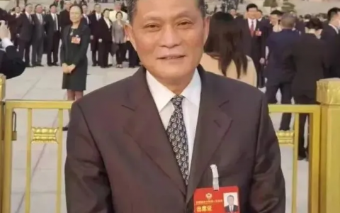 【聚焦两会】全国政协委员袁爱平：建议将生物质发电纳入电力现货交易试点范畴