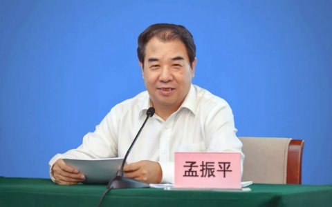 【聚焦两会】全国政协委员、南方电网董事长孟振平：加快数字化绿色化协同发展 促进新型电力系统新型能源体系建设