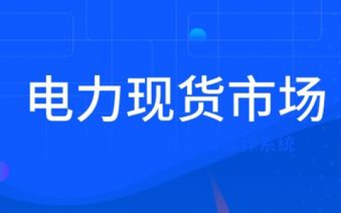《省间电力现货交易规则（试行）》