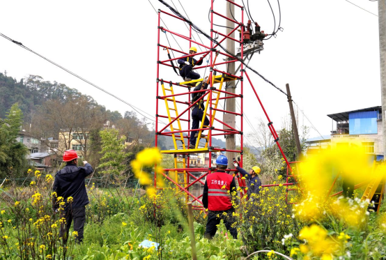 2024年3月18号配电技术与电力市场资讯简报