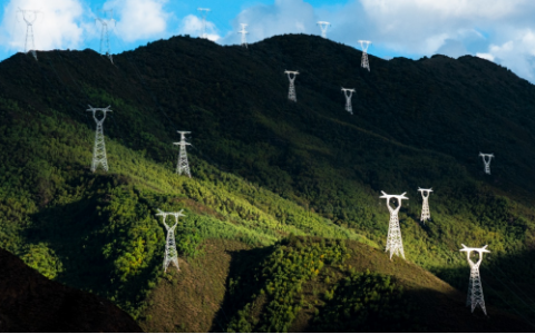 2024年5月16号配电技术与电力市场资讯简报