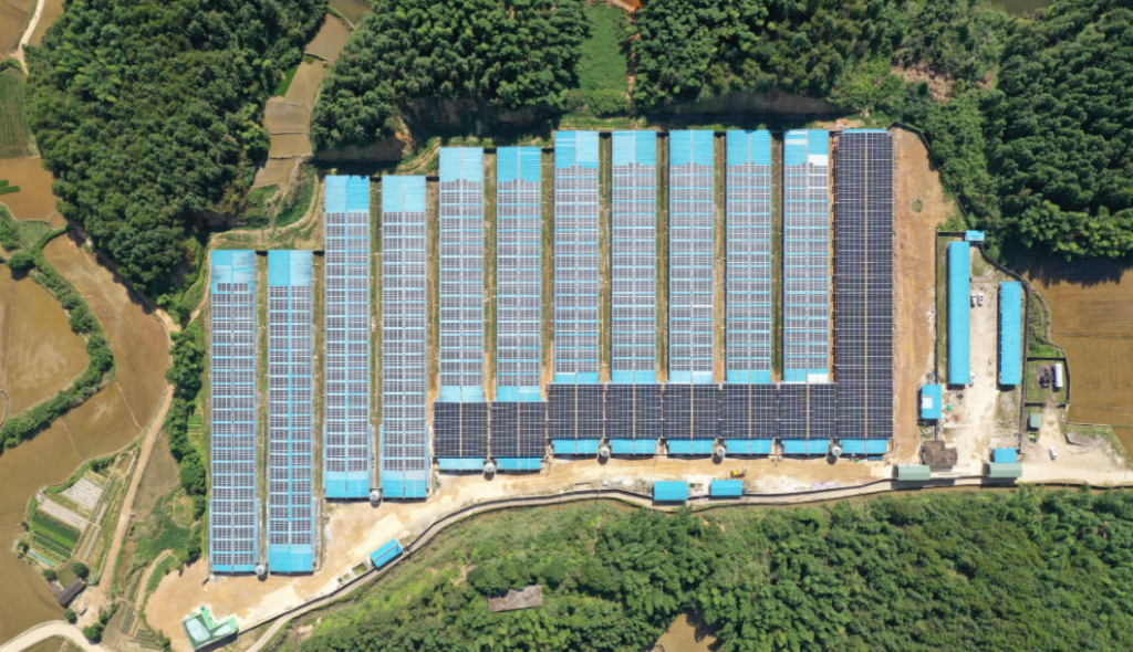 2024年9月6号配电技术与电力市场资讯简报