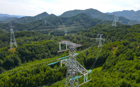 2024年9月12号配电技术与电力市场资讯简报