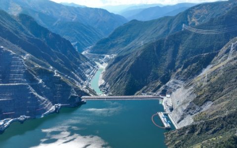 2024年10月30号配电技术与电力市场资讯简报