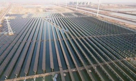 2024年12月24号配电技术与电力市场资讯简报