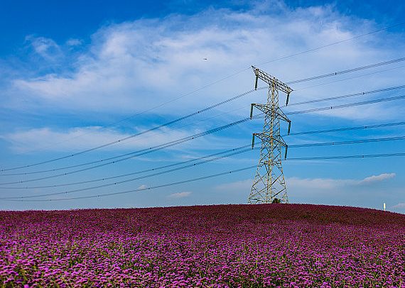 2025年6月18号配电技术与电力市场资讯简报