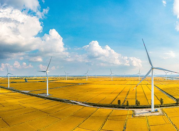 2025年6月27号配电技术与电力市场资讯简报