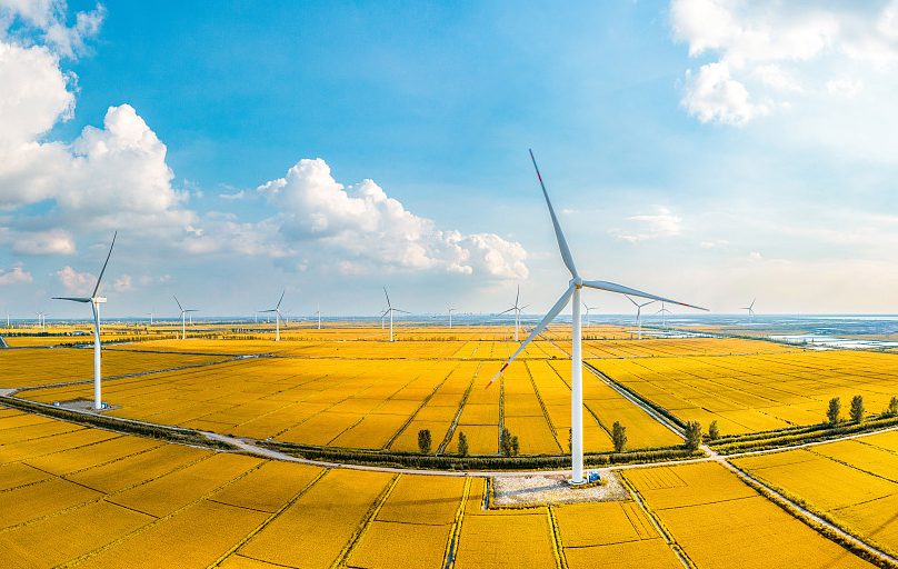 2025年6月16号配电技术与电力市场资讯简报