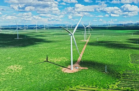 2025年6月25号配电技术与电力市场资讯简报