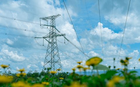 2025年6月4号配电技术与电力市场资讯简报