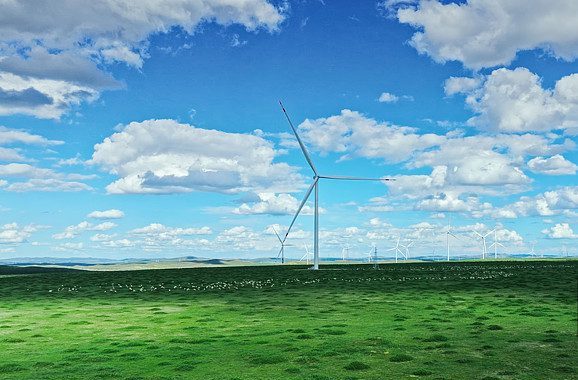 2025年6月26号配电技术与电力市场资讯简报