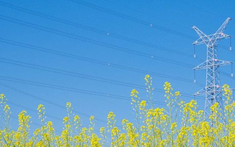2025年6月26号配电技术与电力市场资讯简报