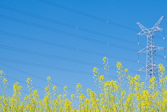 2025年6月26号配电技术与电力市场资讯简报