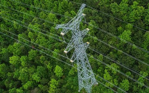 2025年6月19号配电技术与电力市场资讯简报