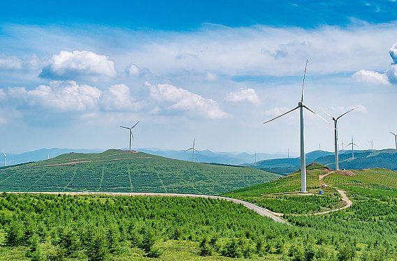 2025年7月16号配电技术与电力市场资讯简报