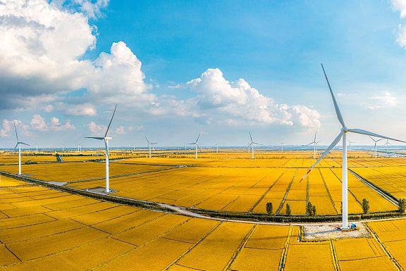 2025年7月29号配电技术与电力市场资讯简报