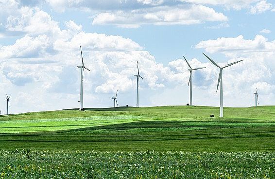 2025年7月8号配电技术与电力市场资讯简报