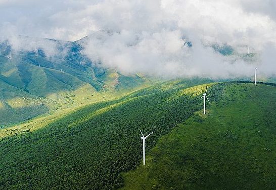 2025年7月14号配电技术与电力市场资讯简报