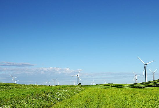 2025年8月21号配电技术与电力市场资讯简报