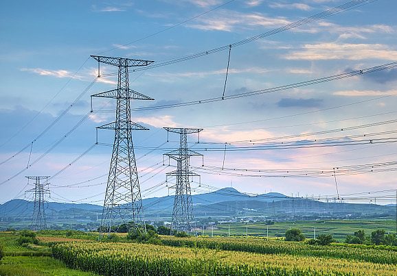 2025年8月19号配电技术与电力市场资讯简报