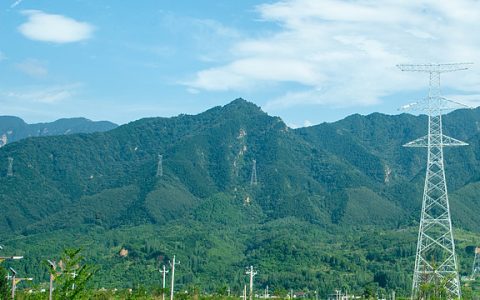 2025年8月13号配电技术与电力市场资讯简报