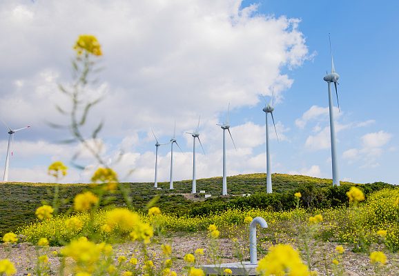 2025年8月15号配电技术与电力市场资讯简报