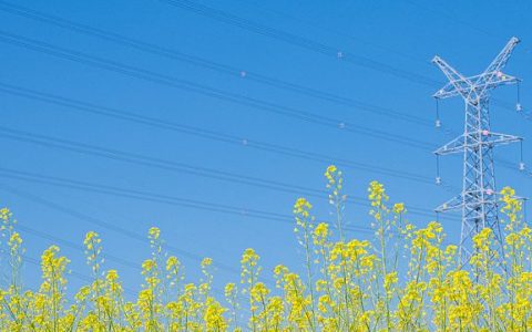2025年9月5号配电技术与电力市场资讯简报