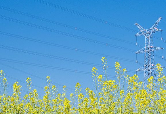 2025年9月5号配电技术与电力市场资讯简报